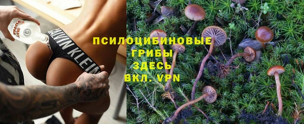 метадон Алексин
