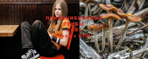не бодяженный Алексеевка
