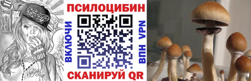 Галлюциногенные грибы Psilocybe Кемь